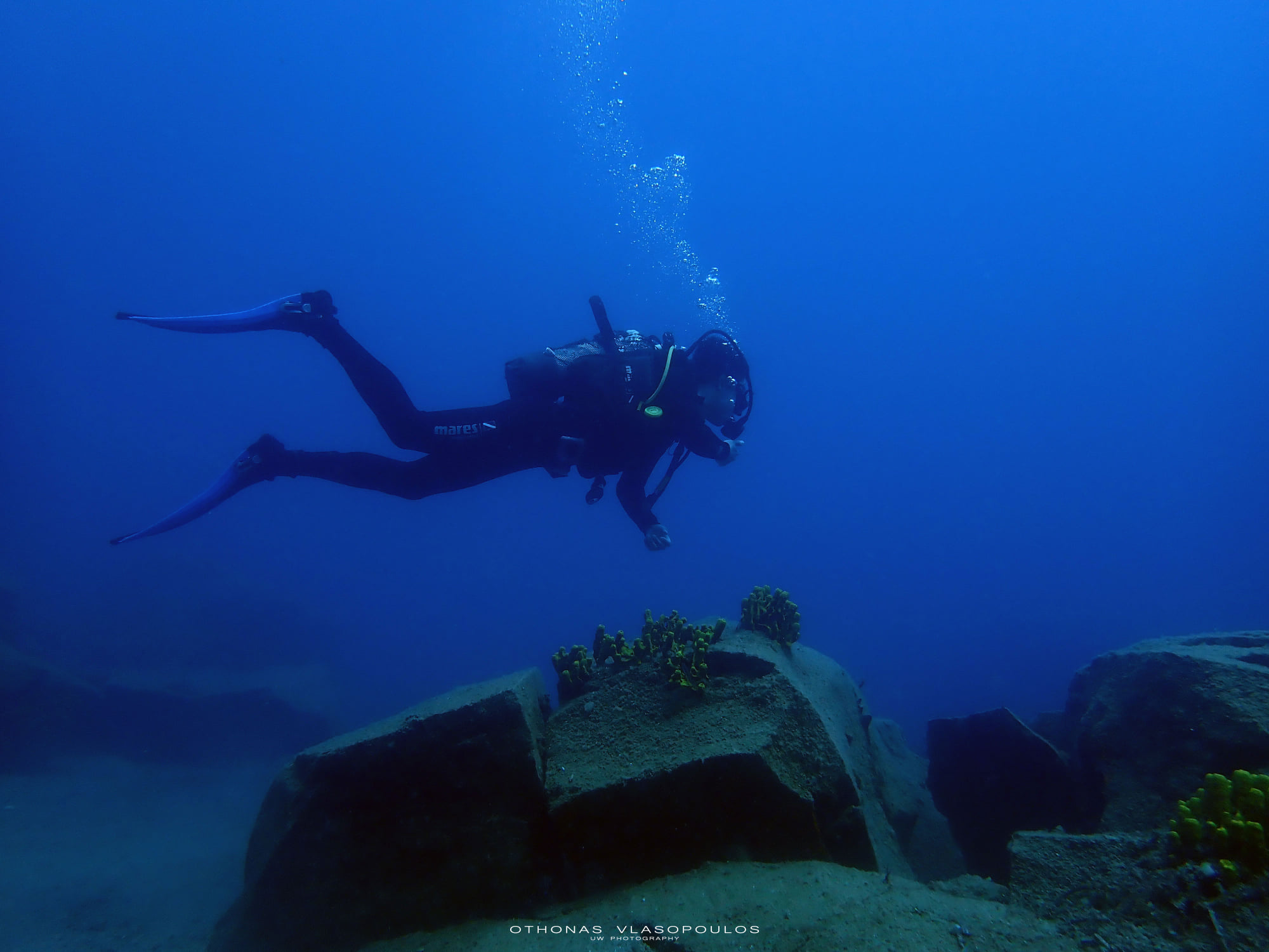 VIRTUAL DIVER